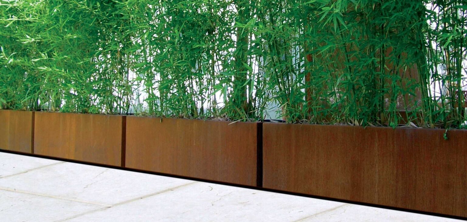 BAMBU (4)